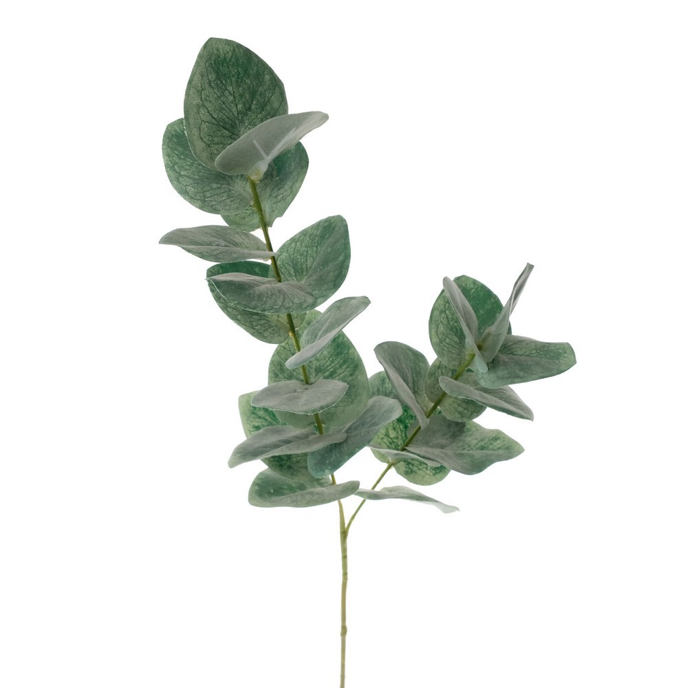 50cm eucalyptus branch LY16509